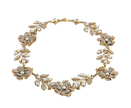 ROSA HALO