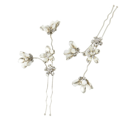 ASTER PIN