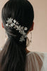 CASSIA COMB