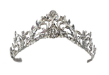 STRENGTH CROWN