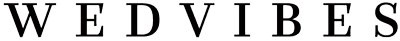 webvibes logo